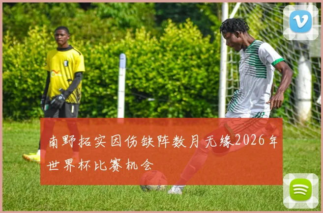 南野拓实因伤缺阵数月无缘2026年世界杯比赛机会
