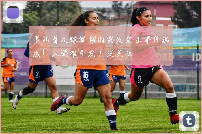 墨西哥足球赛期间突发袭击事件造成11人遇难引发广泛关注