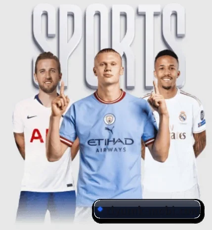 每个板块围绕一个运动项目展开 - 多运动项目内容板块(MKSPORTS)