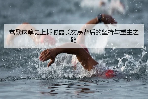 莺歌这笔史上耗时最长交易背后的坚持与重生之路 - MKSPORTS